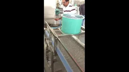 Macchina elettrica multifunzionale per la pulizia dei pavimenti, spazzatrice per erba artificiale, camion, impianto di produzione personalizzato